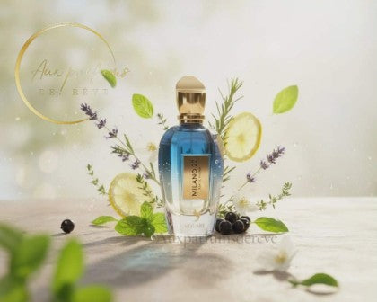 MILANO 22 - EAU DE PARFUM 100ML - inspi Torino 21